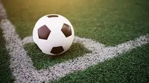 白敬亭顺利登记“另计费用”商标，广告类别成焦点