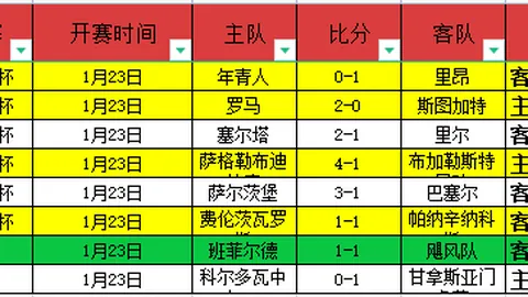 篮球分析：猛龙对阵独行侠赛前专家解读